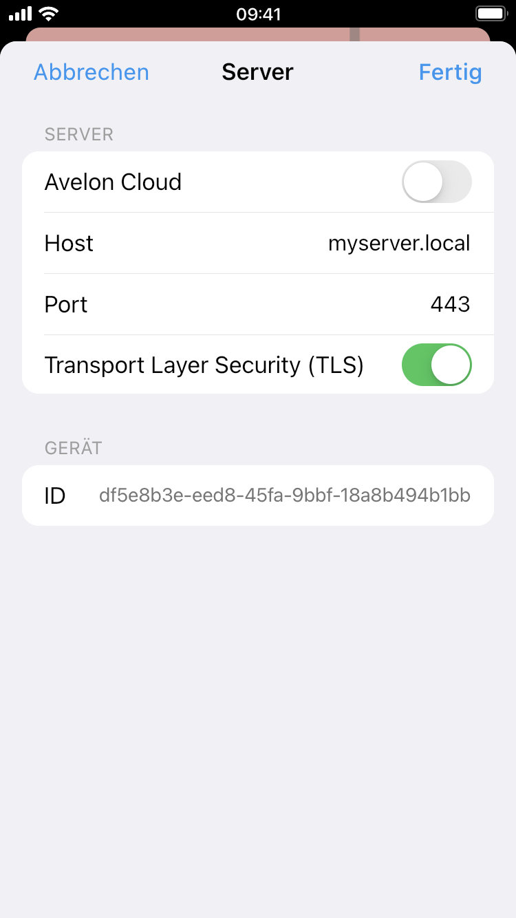../../../_images/server-settings-custom.de.jpg